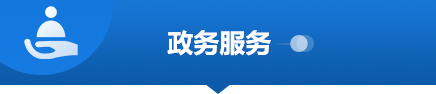 政務服務